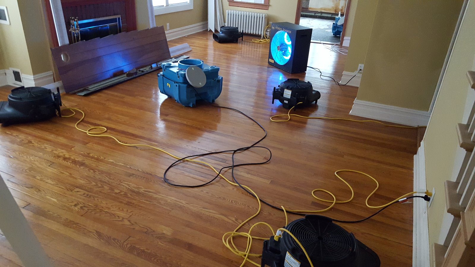 Mold odor removal commercial building CT